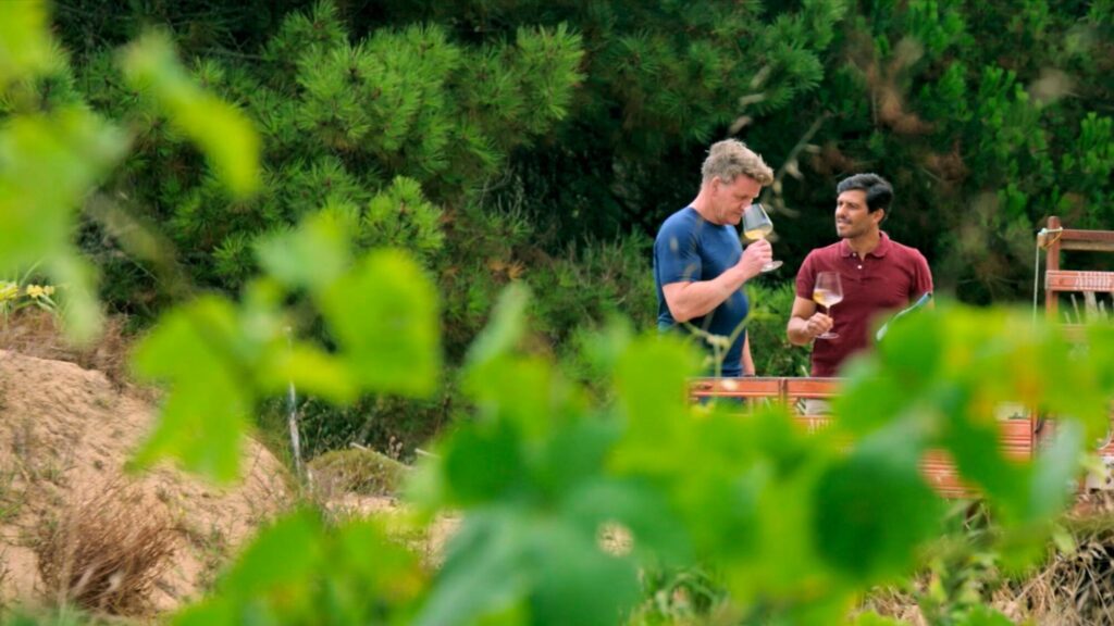 Tasting visit with Gordon Ramsay, Colares vineyard