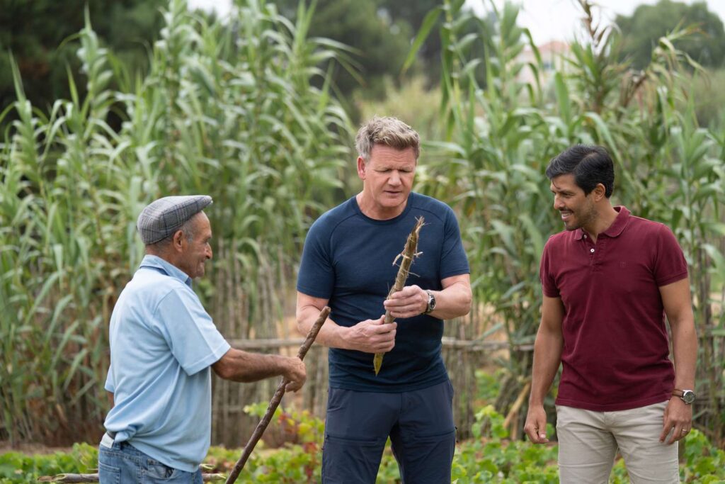 Gordon Ramsay, Mr. Gonçalo and Hélder Cunha in the Colares vineyard, filming National Geographic's Uncharted