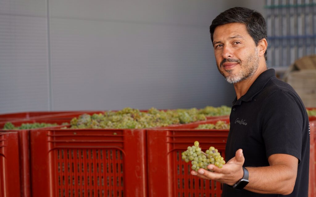 Hélder Cunha at the winery during harvest, beside crates of freshly picked white grapes